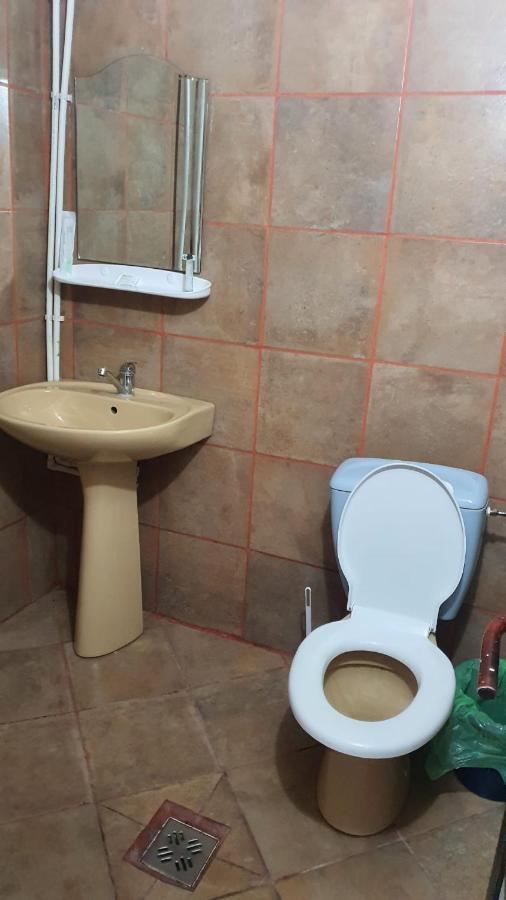 Vila Matei Schitu Bagian luar foto