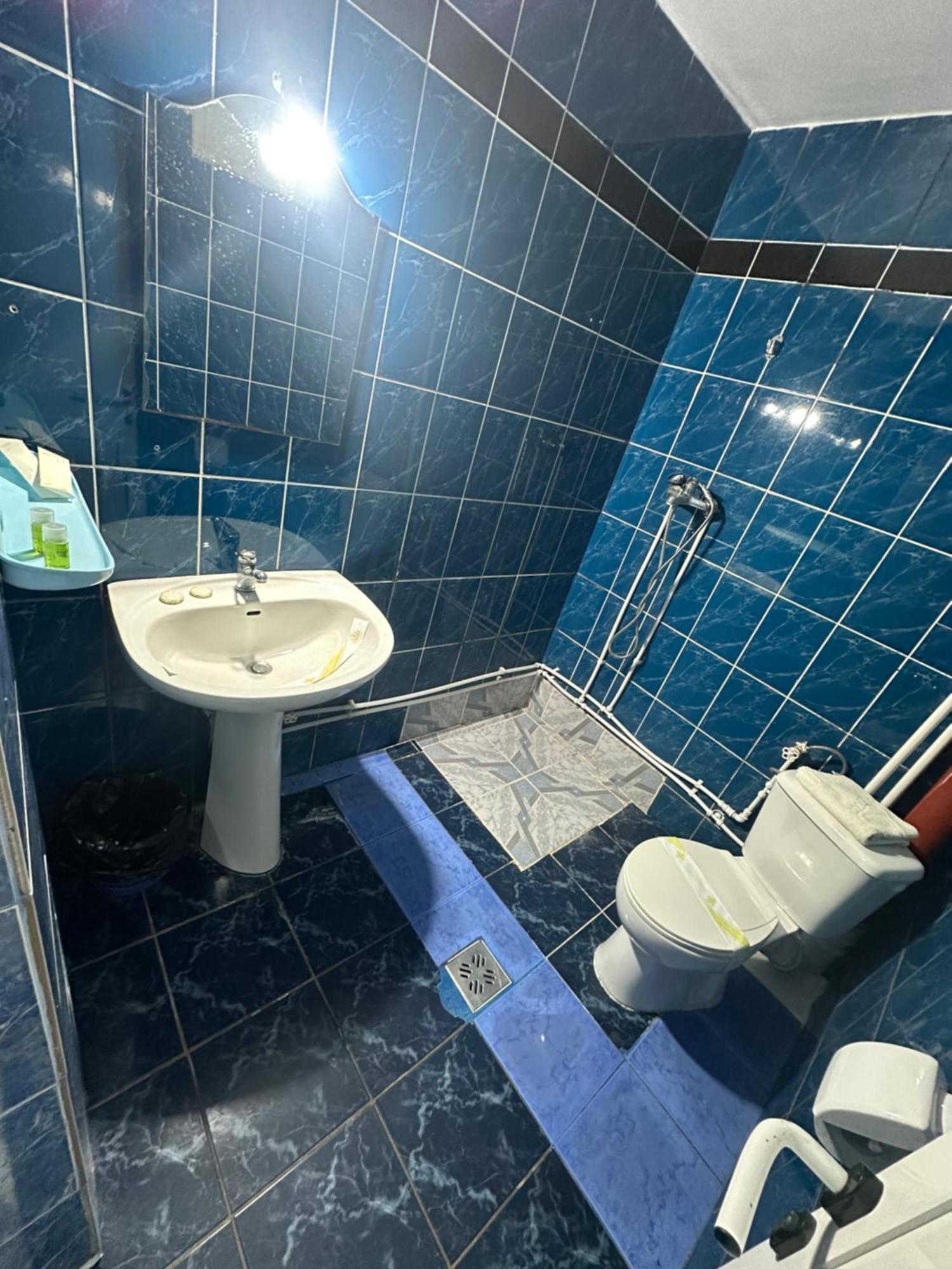 Vila Matei Schitu Bagian luar foto